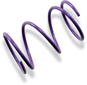 Secondary Clutch Spring Purple, 1, nordicamoto.ro