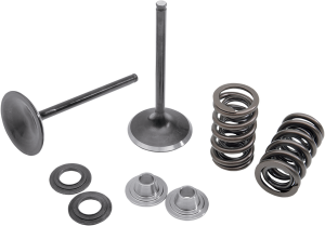 Stainless Steel Conversion Valve And Spring Kit, 1, nordicamoto.ro