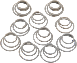 Hub Bearing Plate Retainer Springs