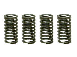 Tengelykapcsoló rugók a Kawasaki KDX 200 (2005–2006) és a Honda NX 250R (1988–1990) modellekhez, 1, nordicamoto.ro