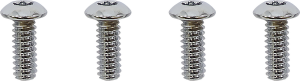 Switch Housing Screw Kit Silver, 1, nordicamoto.ro