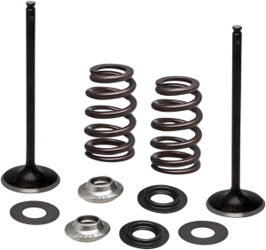 Stainless Steel Conversion Valve And Spring Kit, 1, nordicamoto.ro