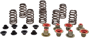 Valve Spring Kit