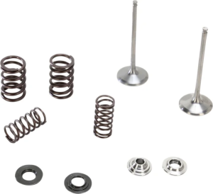 Stainless Intake Valve And Spring Kit 