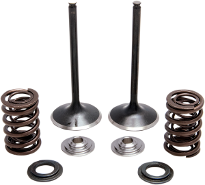 Stainless Steel Conversion Valve And Spring Kit, 1, nordicamoto.ro