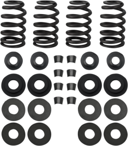 Street Performance Valve Spring Kit, 1, nordicamoto.ro