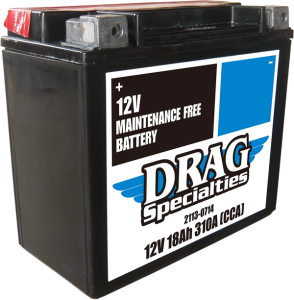 Maintenance Free Battery