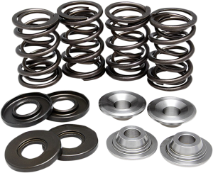 Valve Spring Kit