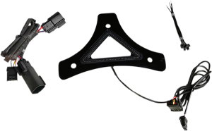 Dual Intensity Run & Brake Backrest Led Light Red, 2, nordicamoto.ro