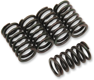 Clutch Spring Kit Black