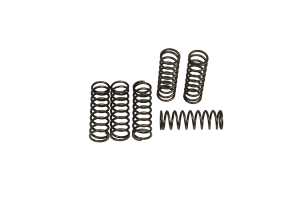 Csk Clutch Spring Set
