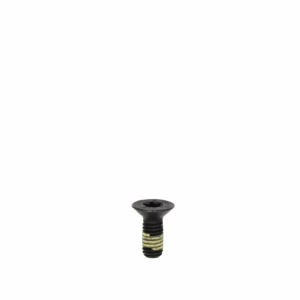 INT. TORX lapos fejű csavar M5×12 T25