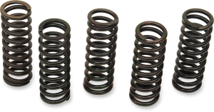 Clutch Spring Kit Black