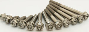 Engine Bolts Titanium