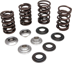 Valve Spring Kit