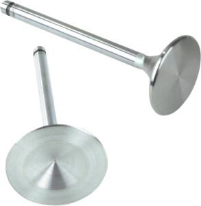 Replacement Stainless Steel Valves, 1, nordicamoto.ro