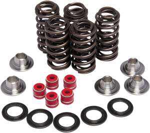 Valve Spring Kit, 1, nordicamoto.ro