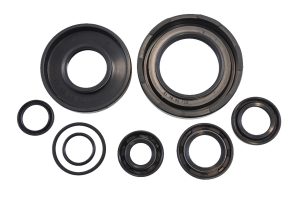 Oil Seal Kit