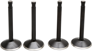 Engine Valve Kit