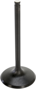 Black Diamond Engine Valve
