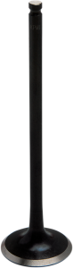 Tensilite® Engine Valve