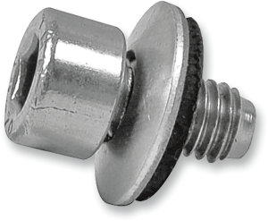 Nitrogen Valve Assembly Kit Silver, 1, nordicamoto.ro