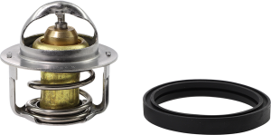 Thermostat Silver, 1, nordicamoto.ro