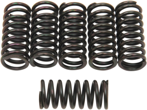 Clutch Spring Kit Black, 1, nordicamoto.ro